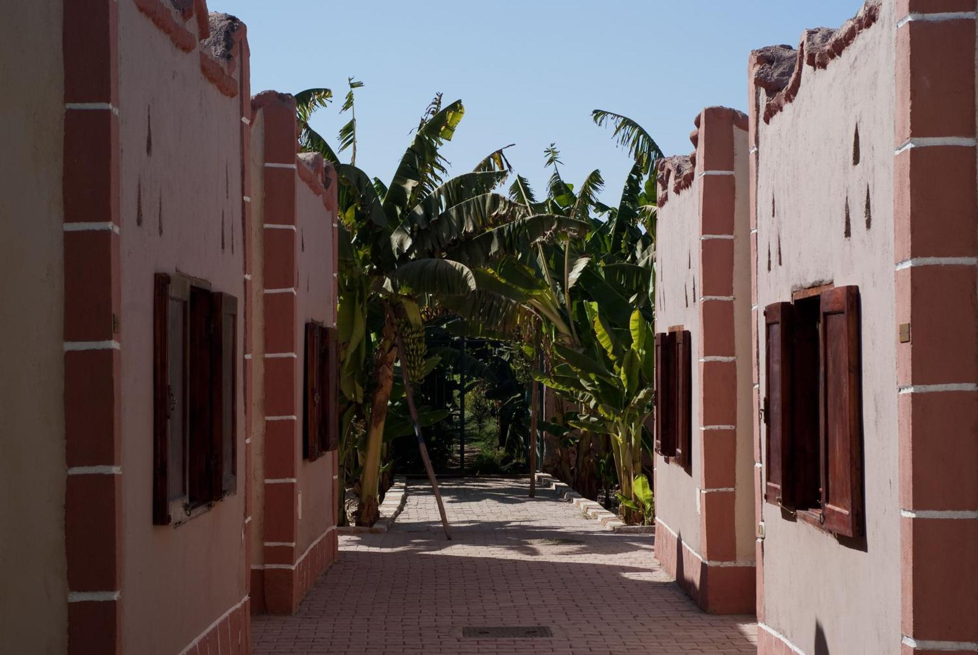 Al Baeirat Hotel Luksor Zewnętrze zdjęcie