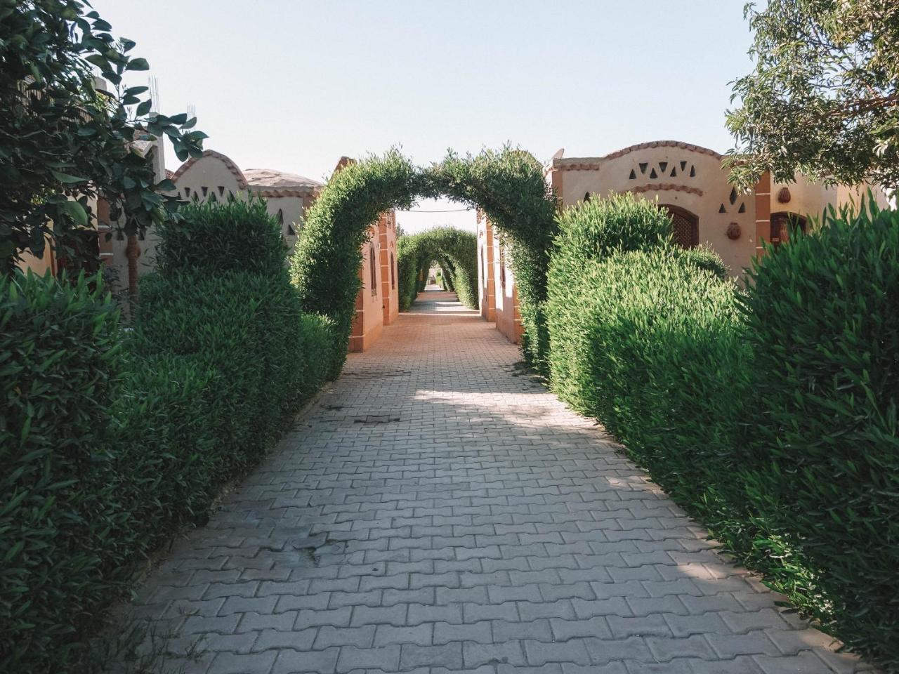 Al Baeirat Hotel Luksor Zewnętrze zdjęcie